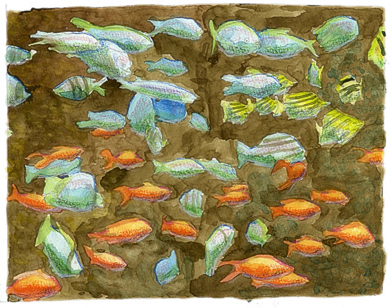 fish002_v004