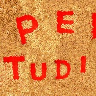 Open Studio Invitation by Marisa