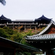 Kiyomizu Temple - Ground View