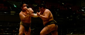 sumo_2010_ericBates_003