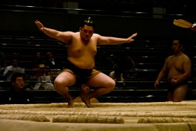 sumo_2010_ericBates_005