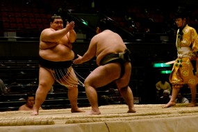 sumo_2010_ericBates_007