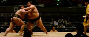sumo_2010_ericBates_008