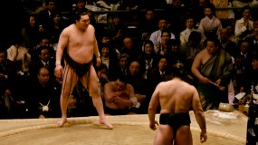 sumo_2010_ericBates_024