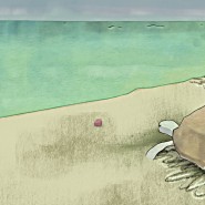 turtle animation test