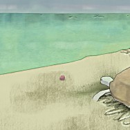 turtle animation test